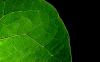 Wallpapers widescreen HQ - Fonds d ecran large HD - 0906